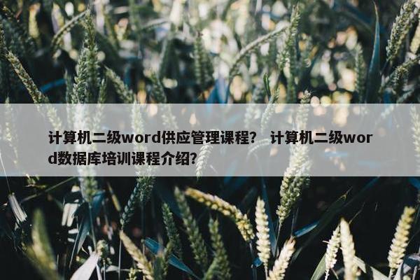 计算机二级word供应管理课程？ 计算机二级word数据库培训课程介绍？
