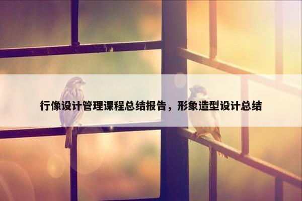 行像设计管理课程总结报告，形象造型设计总结