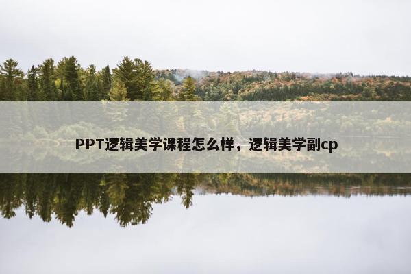 PPT逻辑美学课程怎么样，逻辑美学副cp