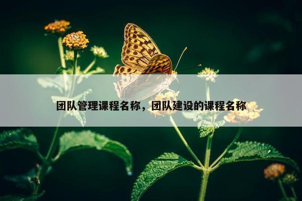 团队管理课程名称，团队建设的课程名称