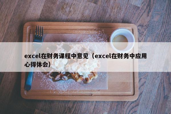 excel在财务课程中意见（excel在财务中应用心得体会）