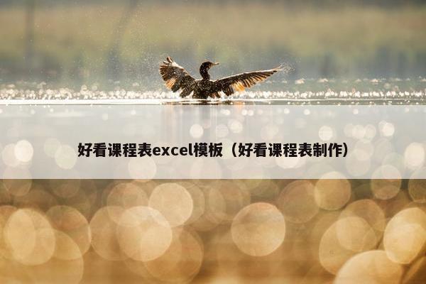 好看课程表excel模板（好看课程表制作）