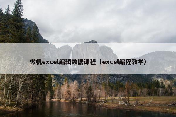 微机excel编辑数据课程（excel编程教学）