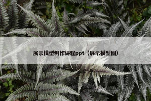 展示模型制作课程ppt（展示模型图）