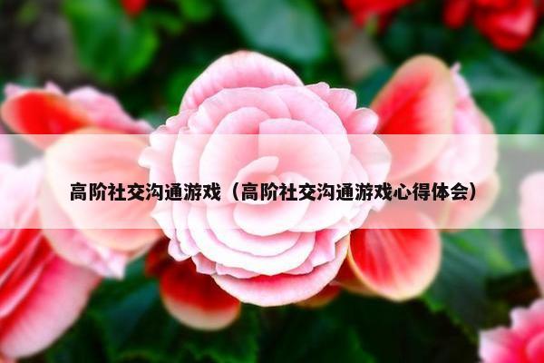 高阶社交沟通游戏（高阶社交沟通游戏心得体会）