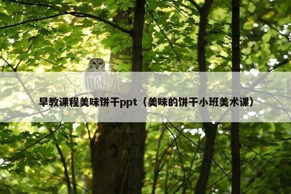 早教课程美味饼干ppt（美味的饼干小班美术课）
