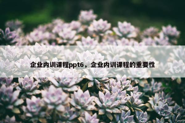 企业内训课程ppt6，企业内训课程的重要性