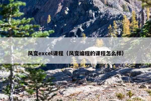 风变excel课程（风变编程的课程怎么样）