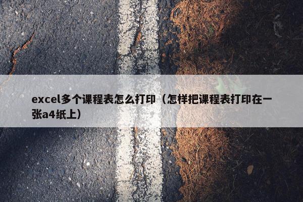 excel多个课程表怎么打印（怎样把课程表打印在一张a4纸上）