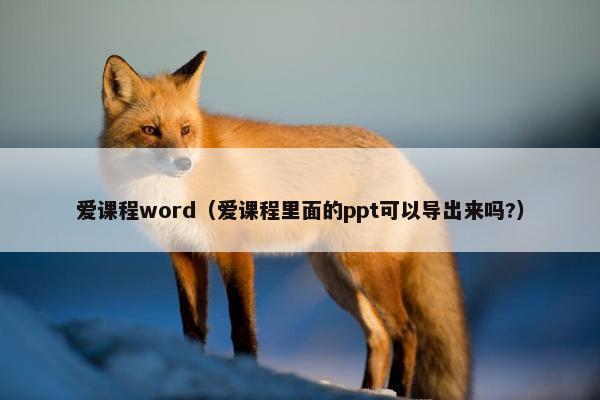 爱课程word（爱课程里面的ppt可以导出来吗?）