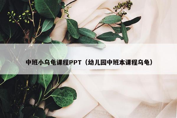 中班小乌龟课程PPT（幼儿园中班本课程乌龟）