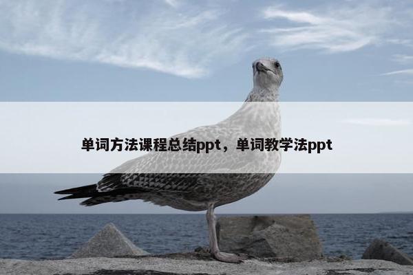 单词方法课程总结ppt，单词教学法ppt