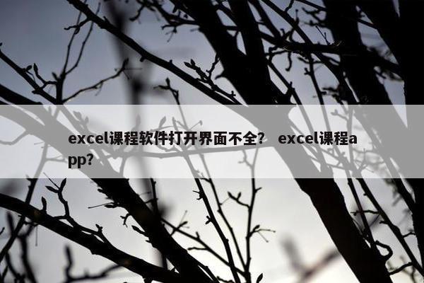 excel课程软件打开界面不全？ excel课程app？