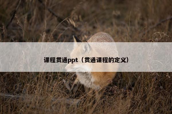 课程贯通ppt（贯通课程的定义）