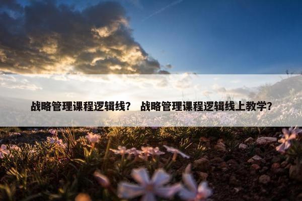 战略管理课程逻辑线？ 战略管理课程逻辑线上教学？