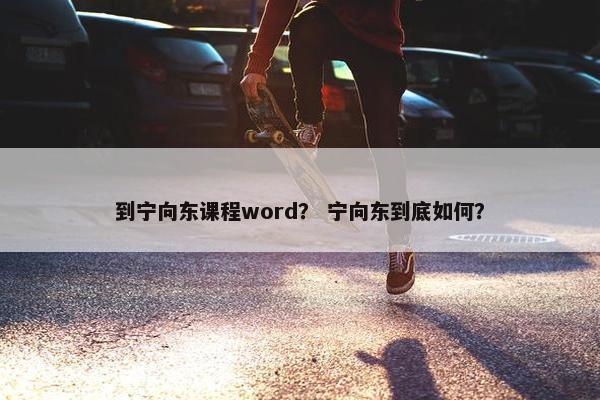 到宁向东课程word？ 宁向东到底如何？