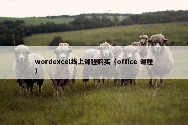 wordexcel线上课程购买（office 课程）