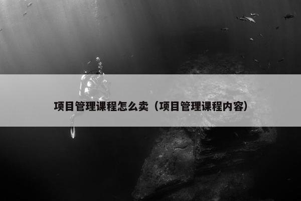 项目管理课程怎么卖（项目管理课程内容）