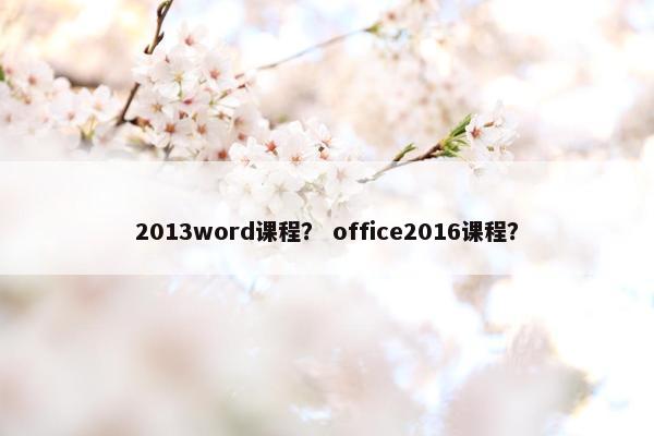 2013word课程？ office2016课程？