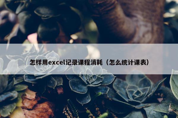 怎样用excel记录课程消耗（怎么统计课表）