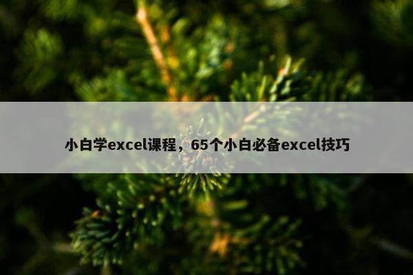 小白学excel课程，65个小白必备excel技巧