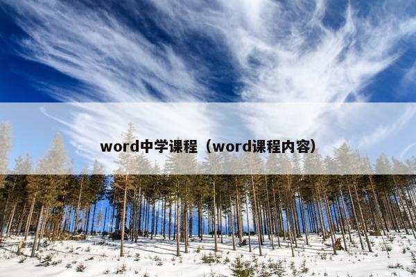 word中学课程（word课程内容）