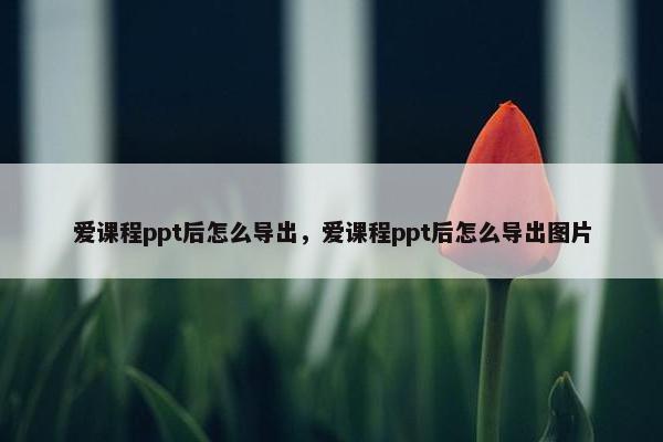 爱课程ppt后怎么导出，爱课程ppt后怎么导出图片