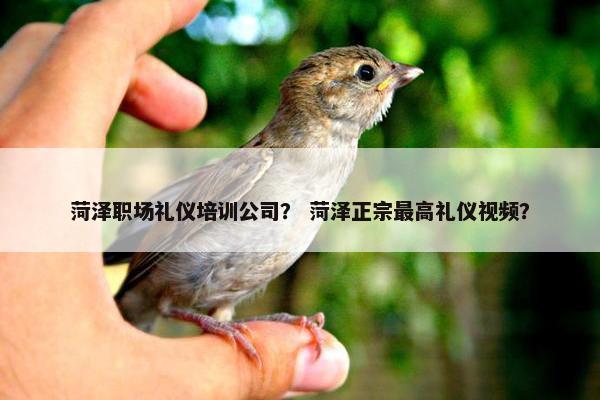 菏泽职场礼仪培训公司？ 菏泽正宗最高礼仪视频？