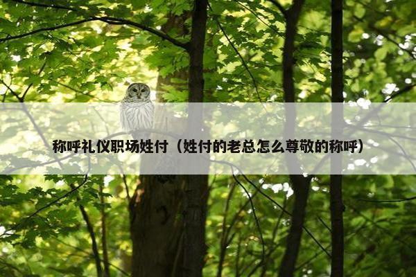 称呼礼仪职场姓付（姓付的老总怎么尊敬的称呼）