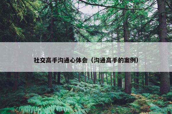 社交高手沟通心体会（沟通高手的案例）
