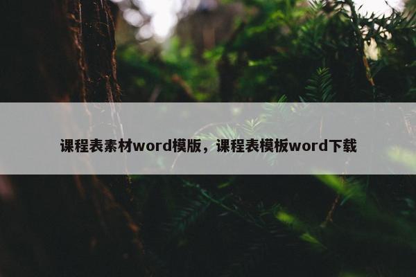 课程表素材word模版，课程表模板word下载