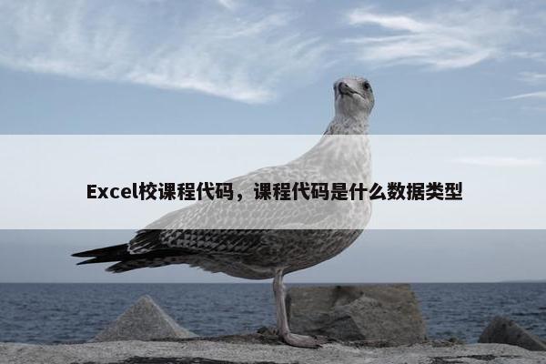 Excel校课程代码，课程代码是什么数据类型