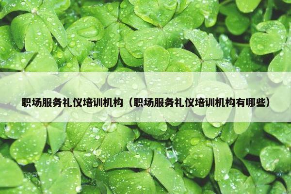 职场服务礼仪培训机构（职场服务礼仪培训机构有哪些）