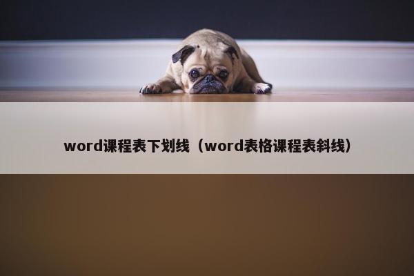 word课程表下划线（word表格课程表斜线）