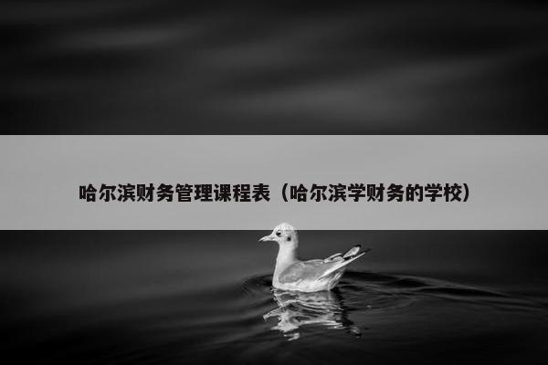 哈尔滨财务管理课程表（哈尔滨学财务的学校）
