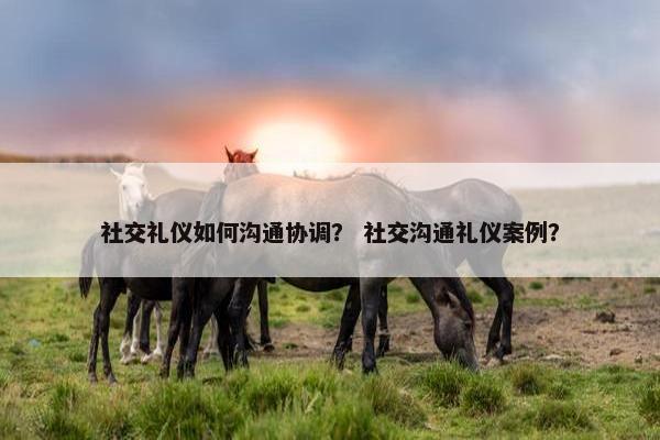 社交礼仪如何沟通协调？ 社交沟通礼仪案例？