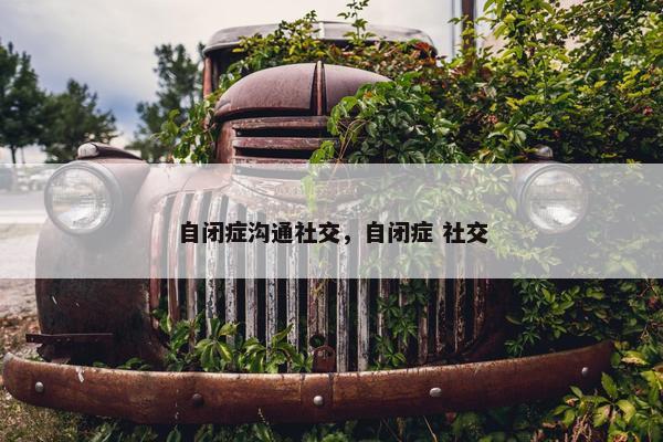 自闭症沟通社交，自闭症 社交