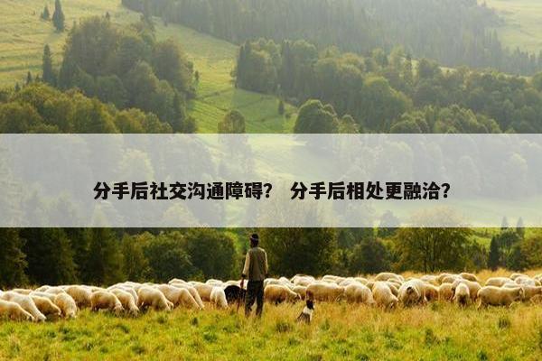 分手后社交沟通障碍？ 分手后相处更融洽？