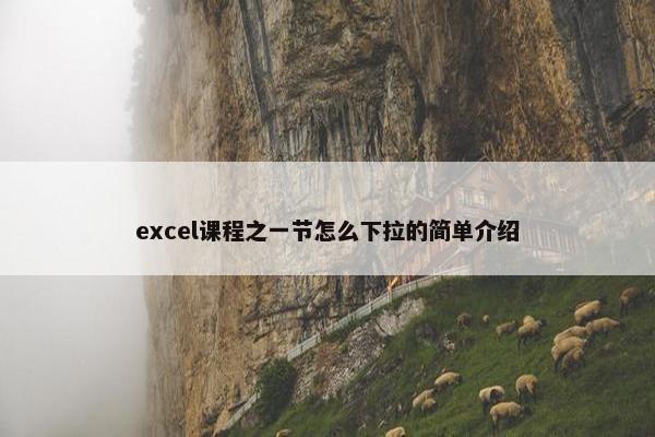 excel课程之一节怎么下拉的简单介绍
