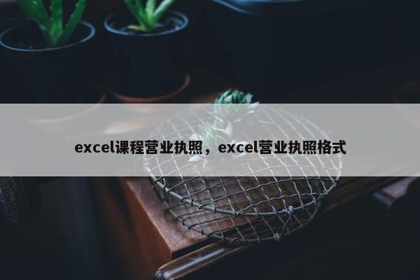 excel课程营业执照，excel营业执照格式