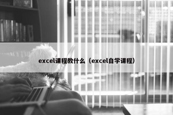 excel课程教什么（excel自学课程）