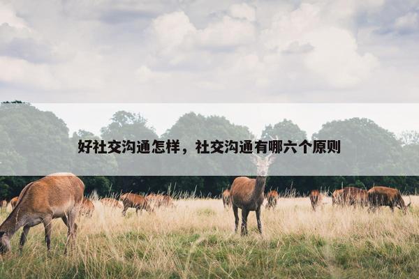 好社交沟通怎样，社交沟通有哪六个原则