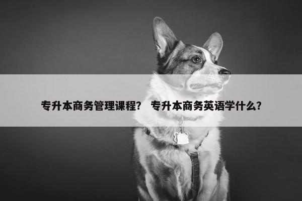 专升本商务管理课程？ 专升本商务英语学什么？