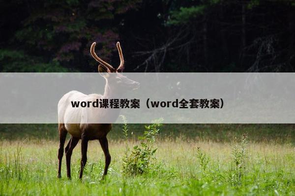word课程教案（word全套教案）