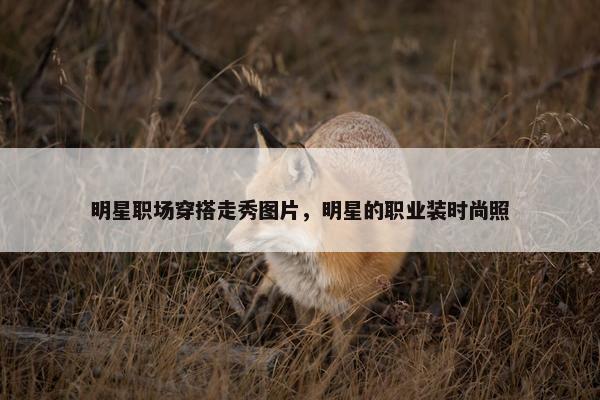 明星职场穿搭走秀图片，明星的职业装时尚照