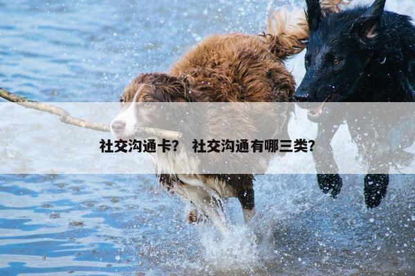 社交沟通卡？ 社交沟通有哪三类？