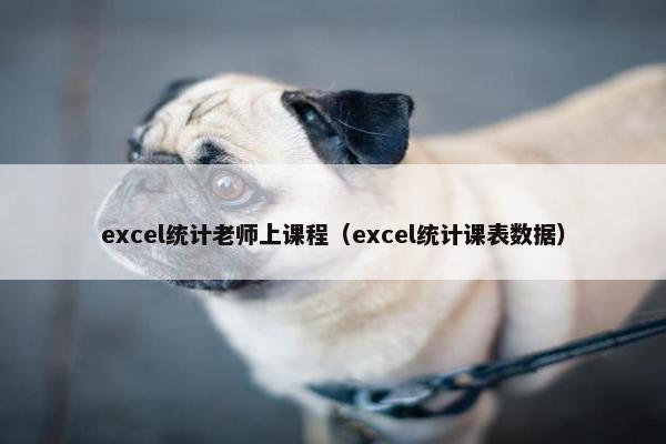 excel统计老师上课程（excel统计课表数据）