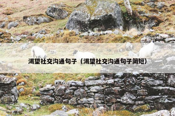 渴望社交沟通句子（渴望社交沟通句子简短）