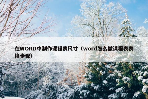 在WORD中制作课程表尺寸（word怎么做课程表表格步骤）