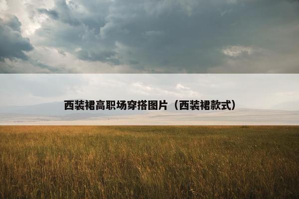 西装裙高职场穿搭图片（西装裙款式）